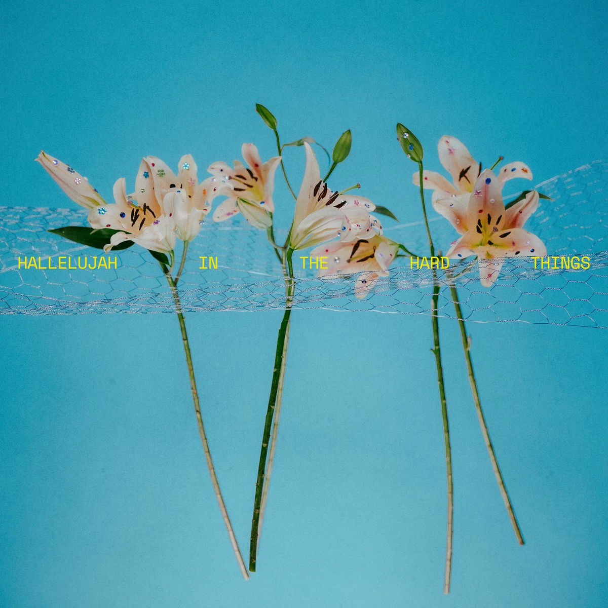 Album cover of Hallelujah In The Hard Things