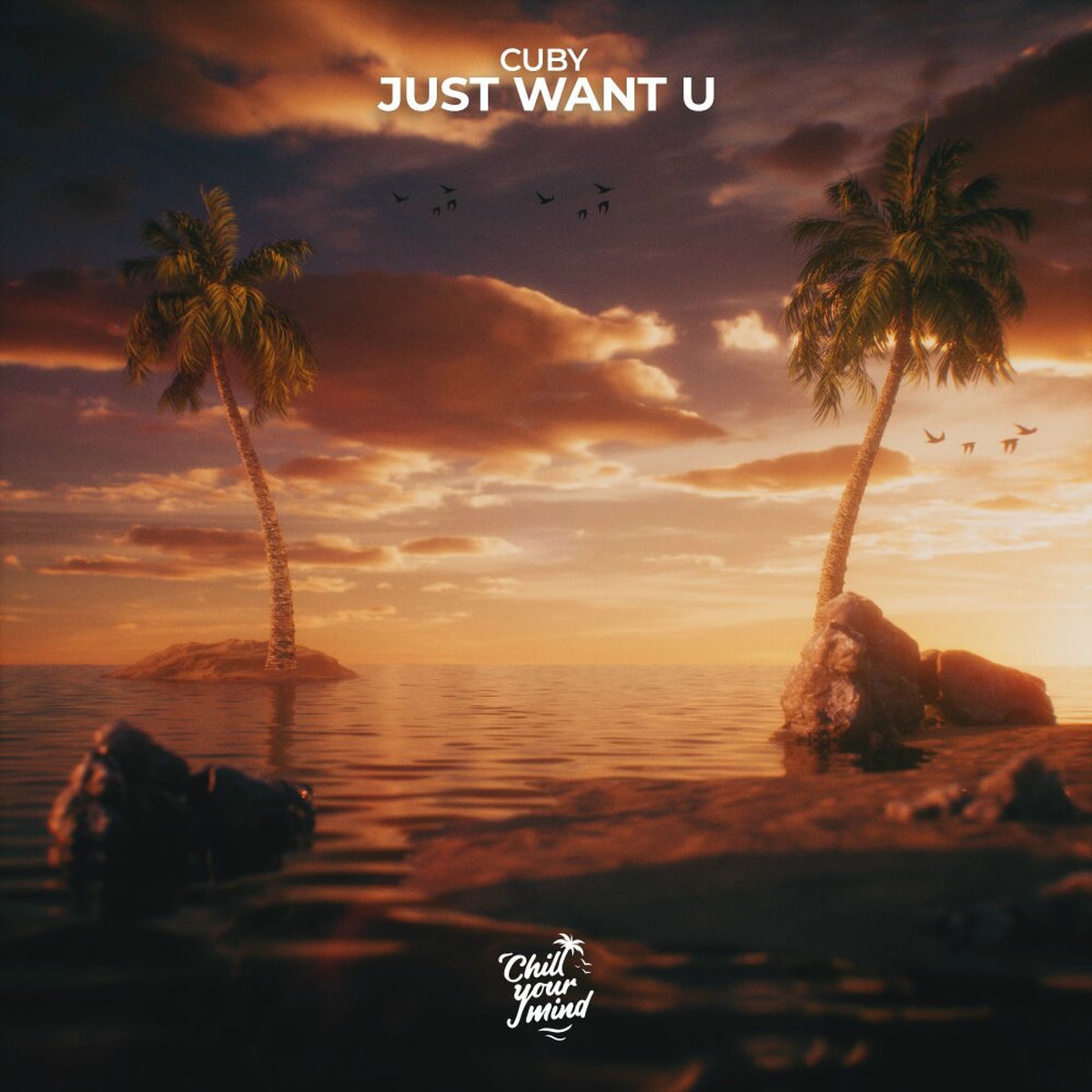 Album cover of Just Want U