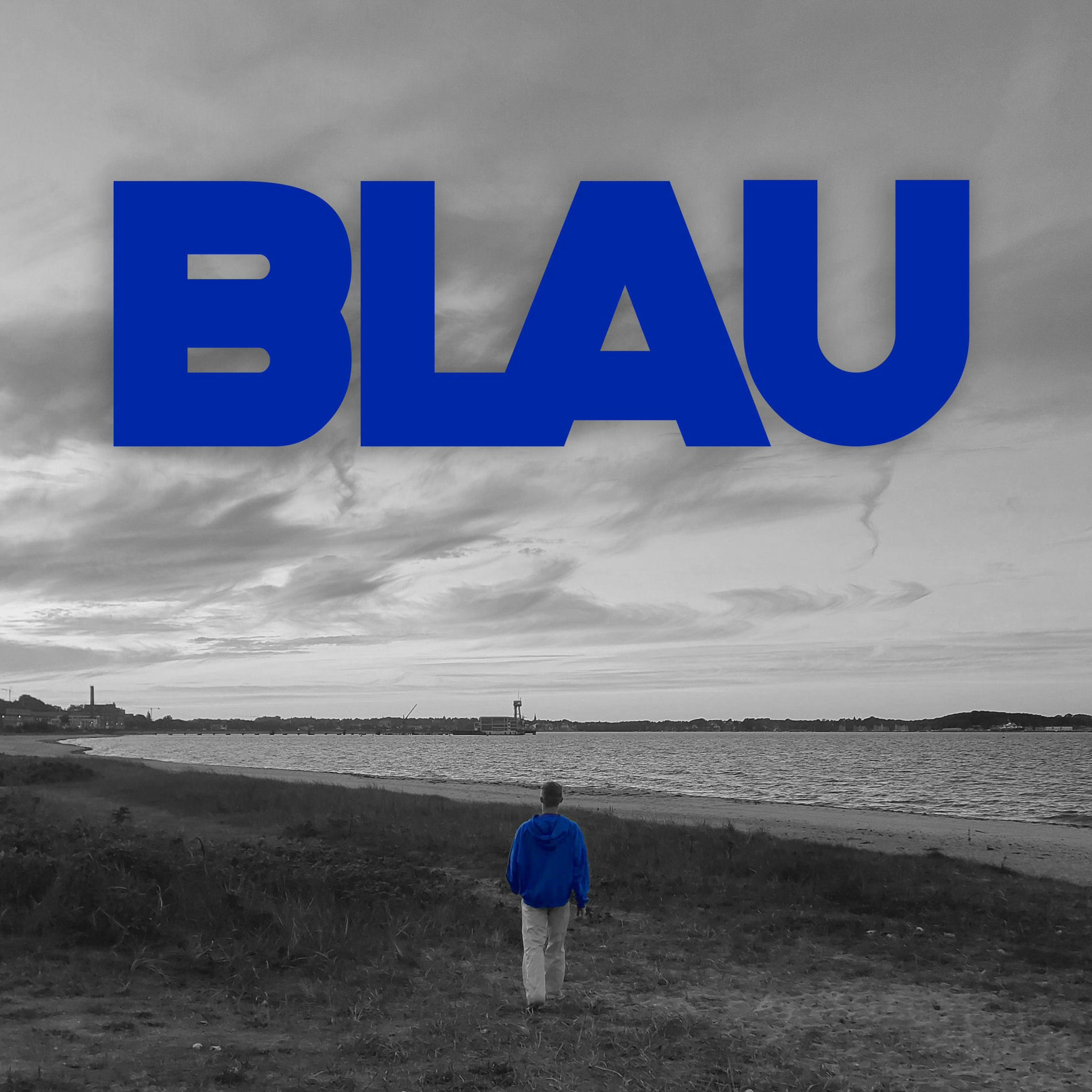 Album cover of BLAU