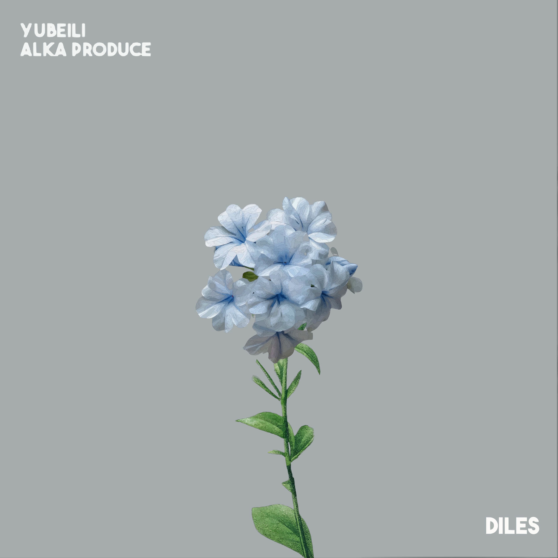 Album cover of Diles