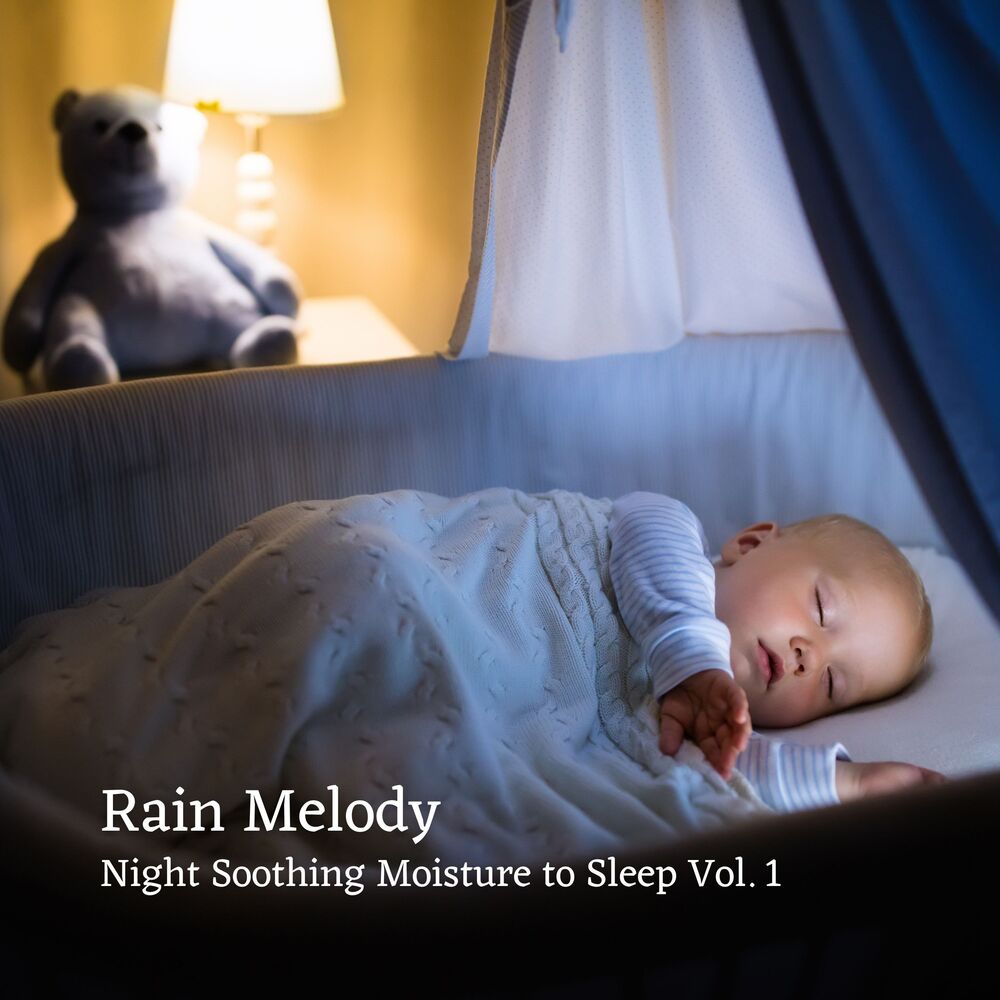 Picture of Rain Melody: Night Soothing Moisture to Sleep Vol. 1