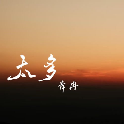 太多