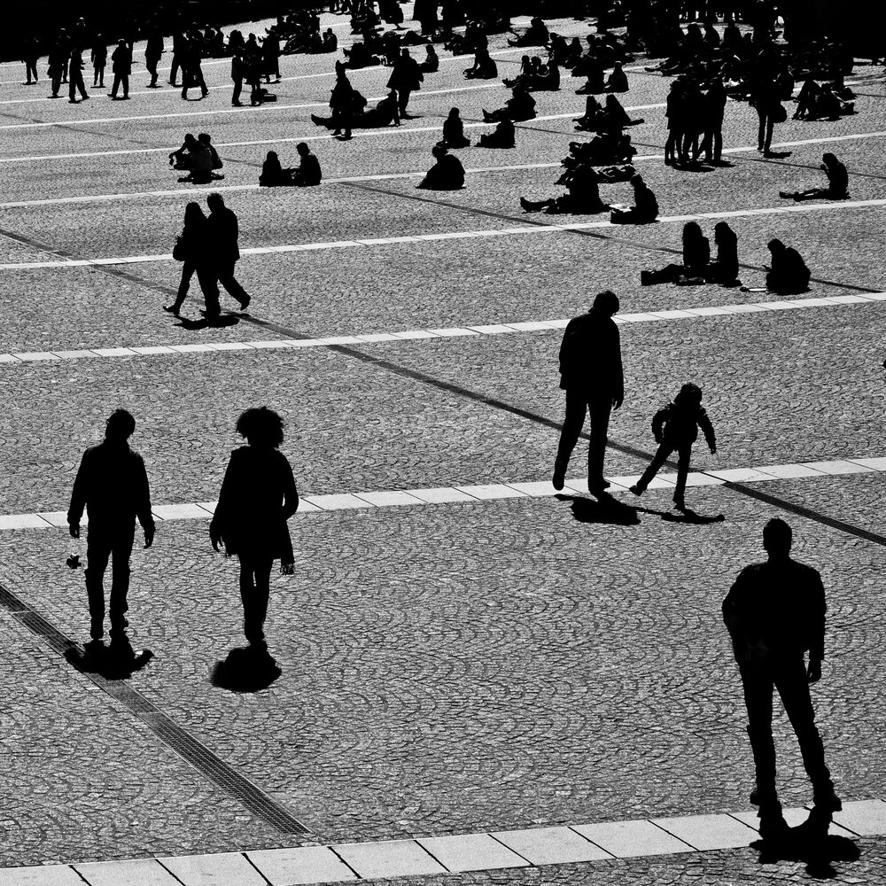 Picture of City Lies