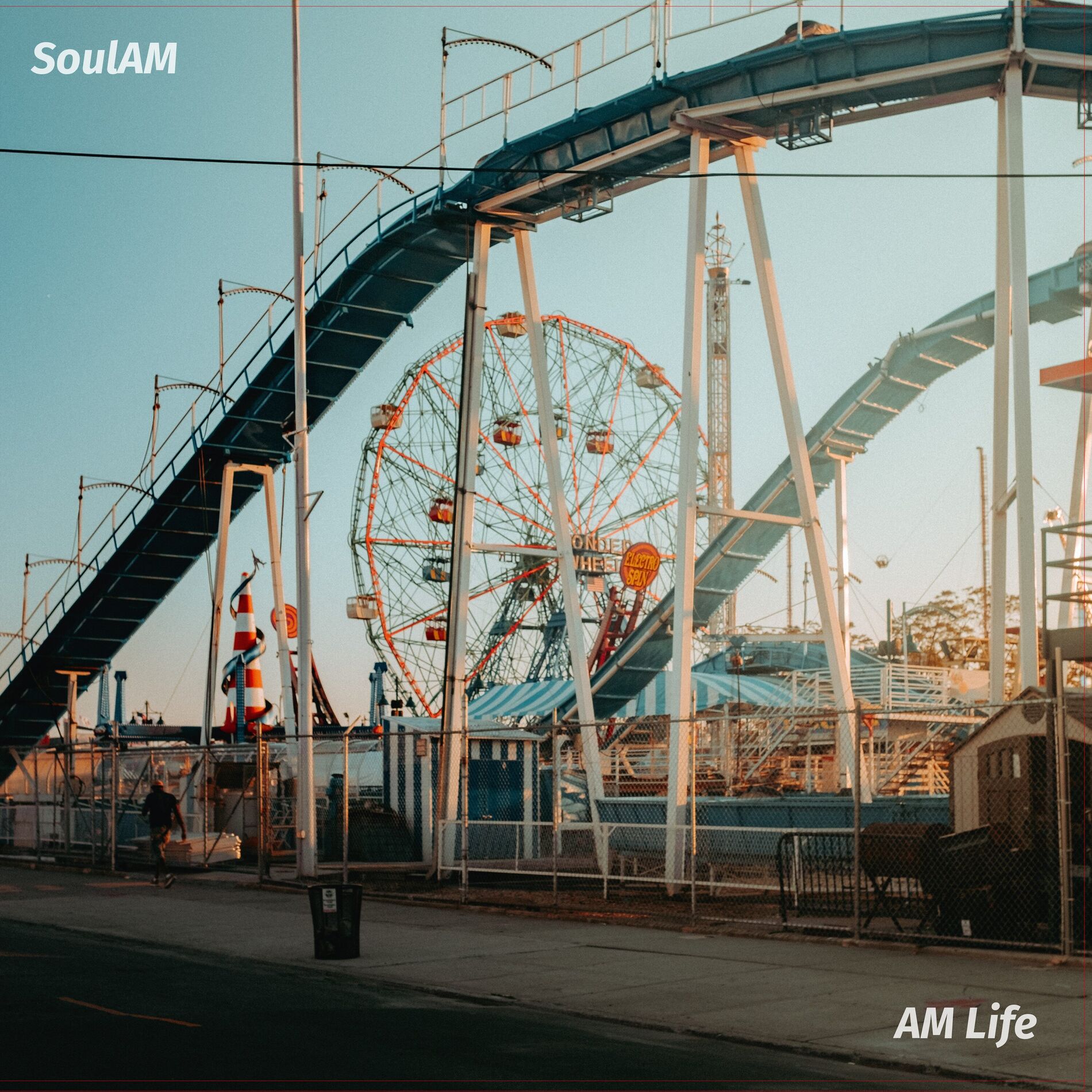 Album cover of AM Life