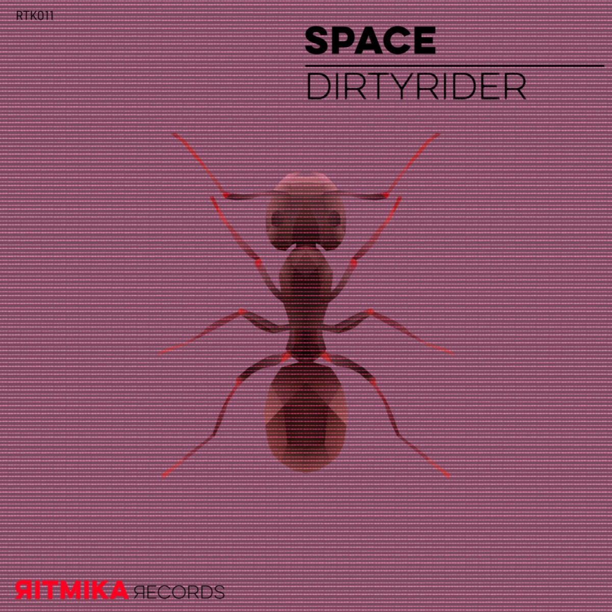Album cover of Dirtyrider