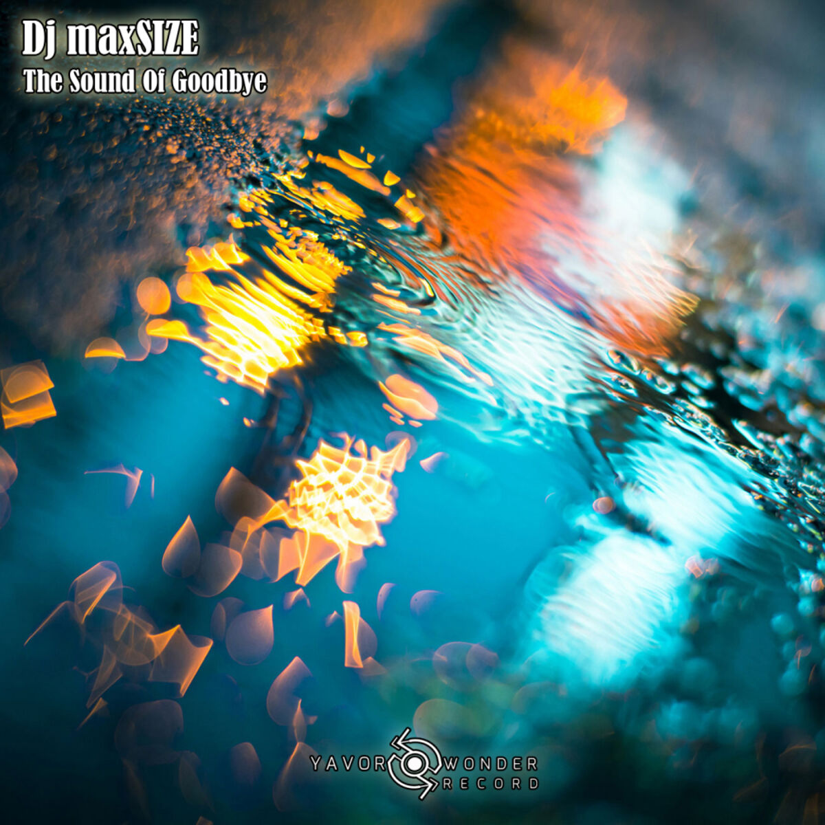 Album cover of The Sound Of Goodbye