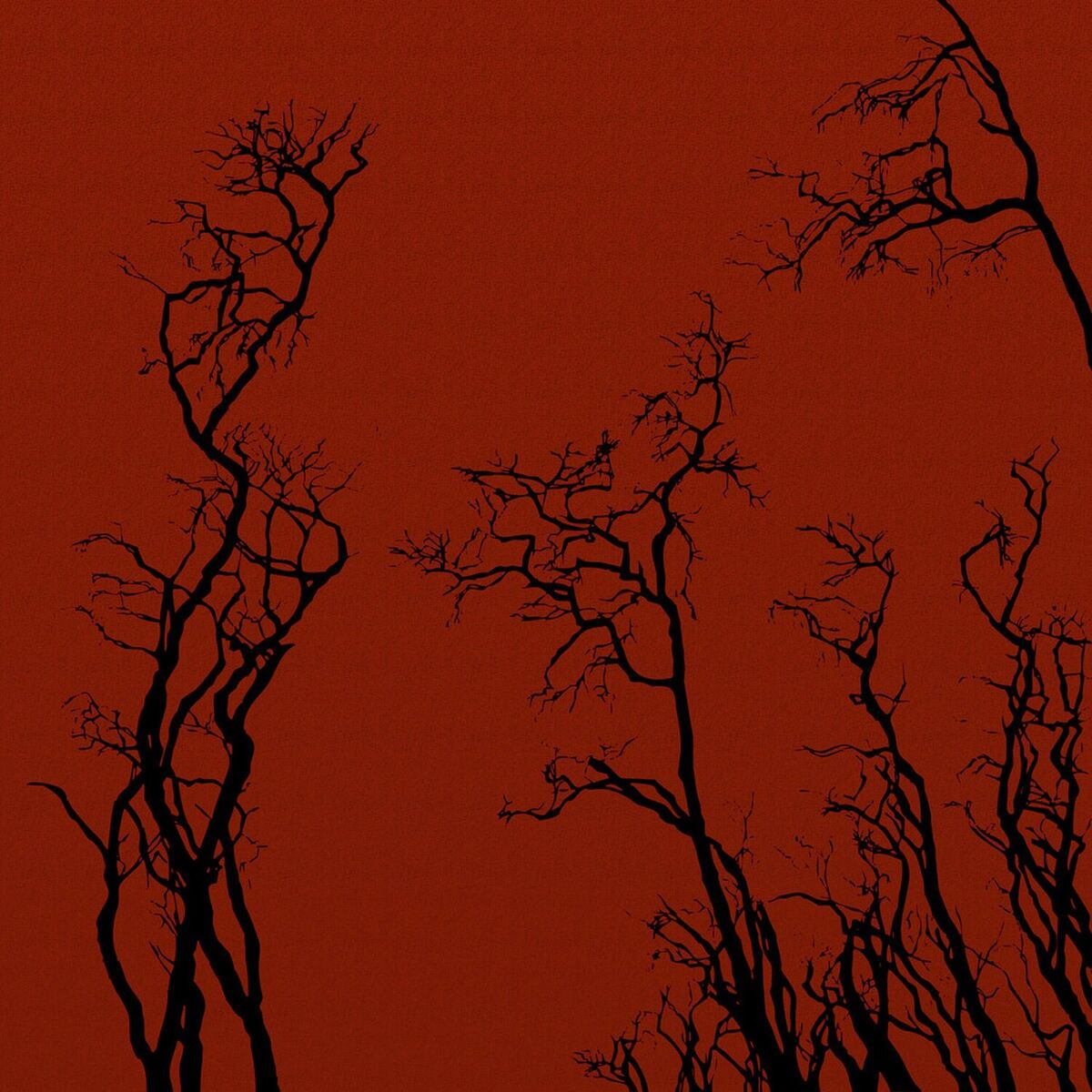 Album cover of Everything All of the Time
