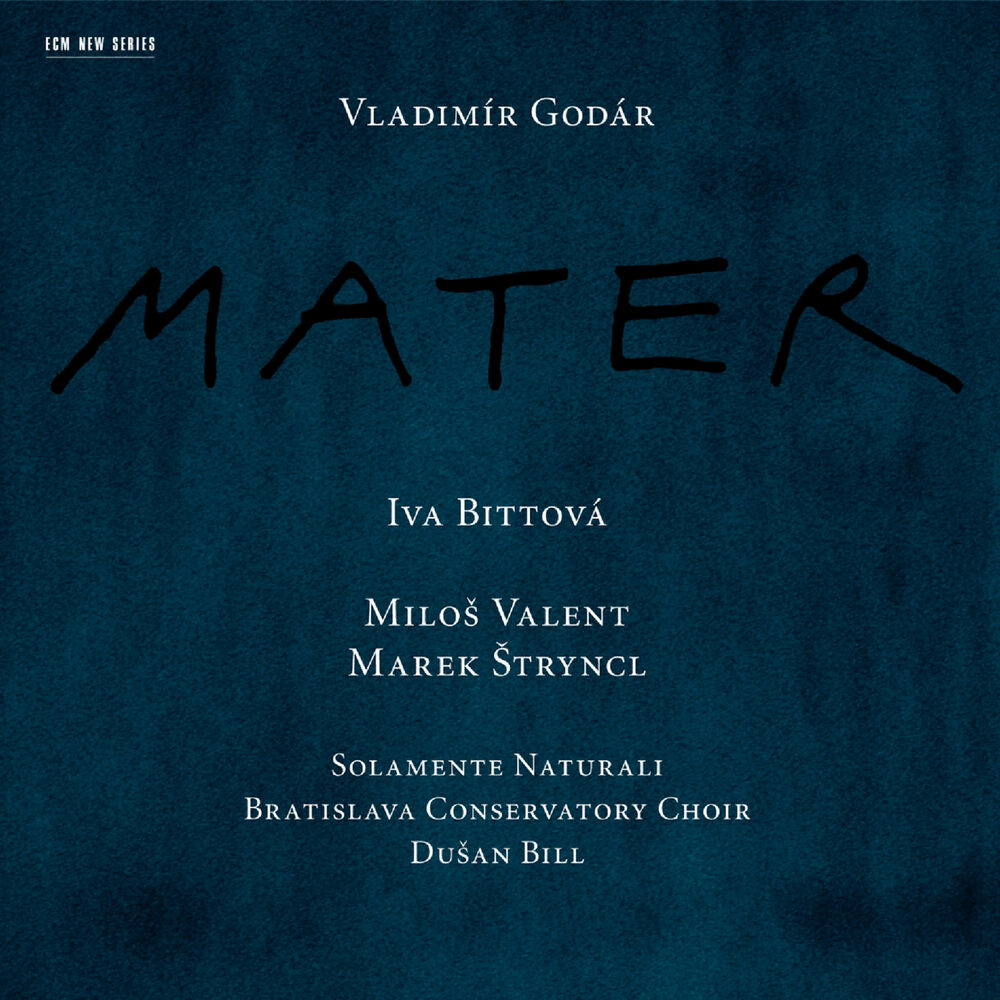 Picture of Godár: Mater
