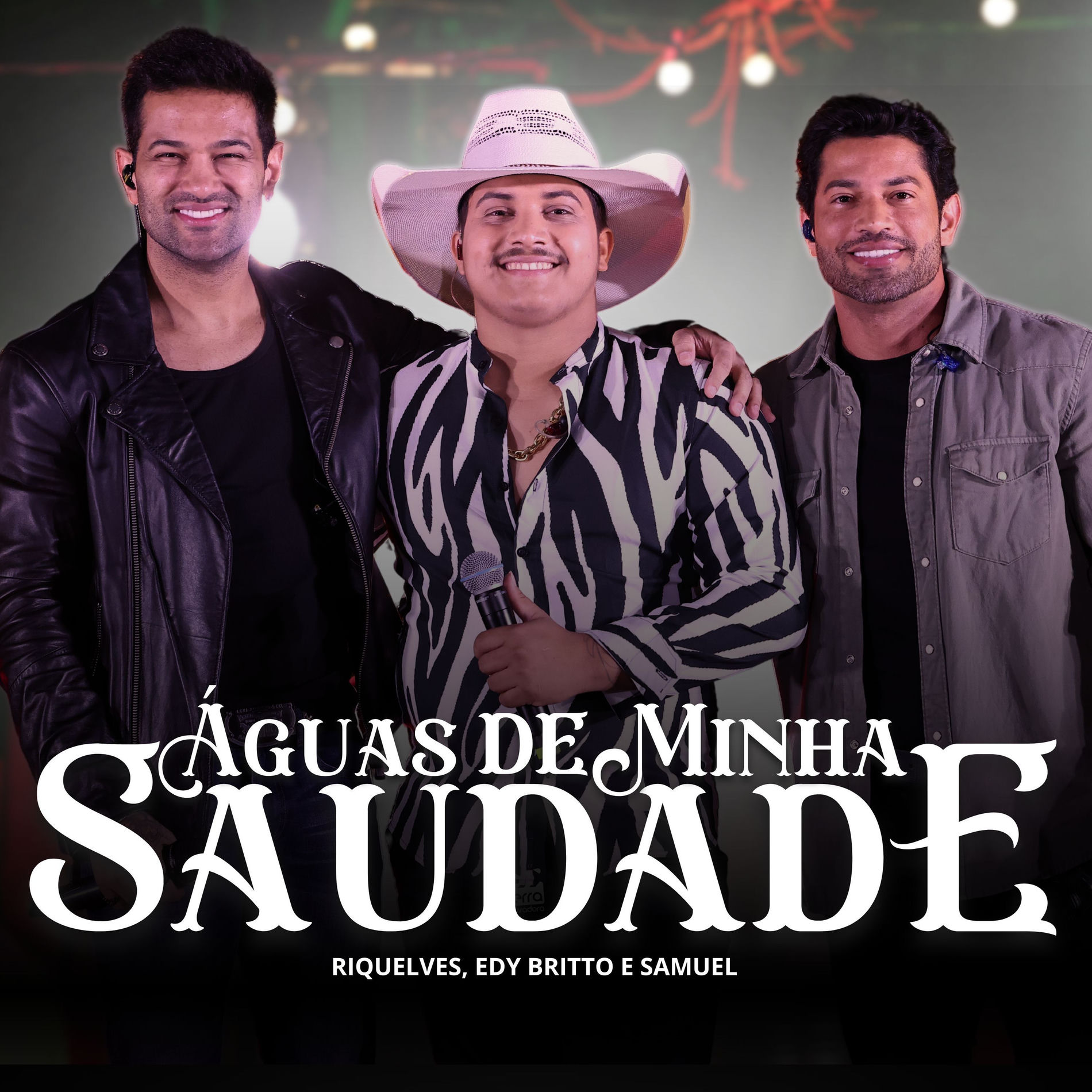 Album cover of Águas De Minha Saudade
