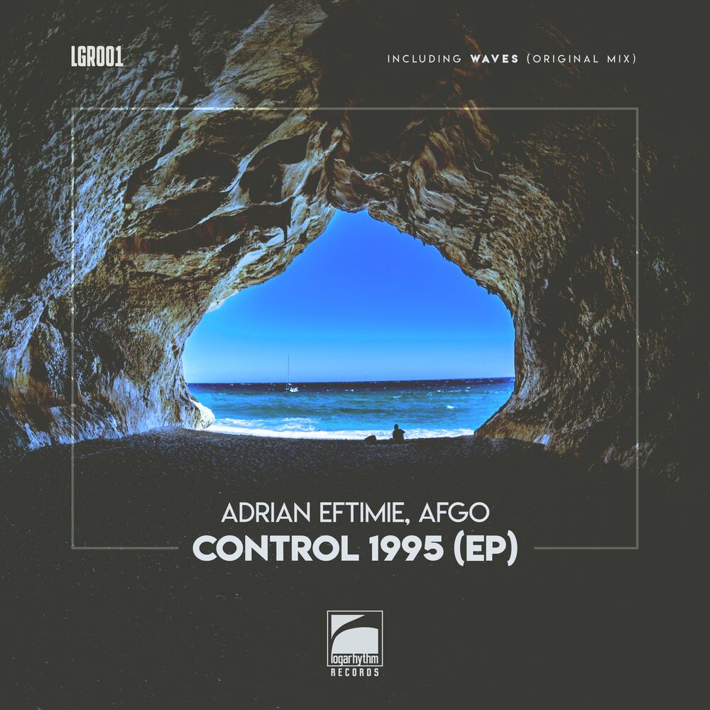 Picture of Control 1995