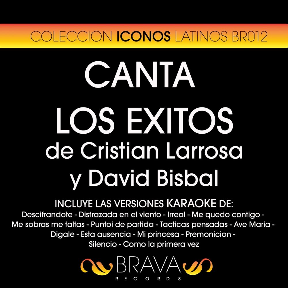 Picture of Canta los Exitos de Cristian Larrosa y David Bisbal
