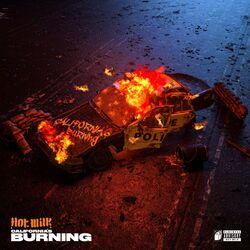 Cover of California's Burning