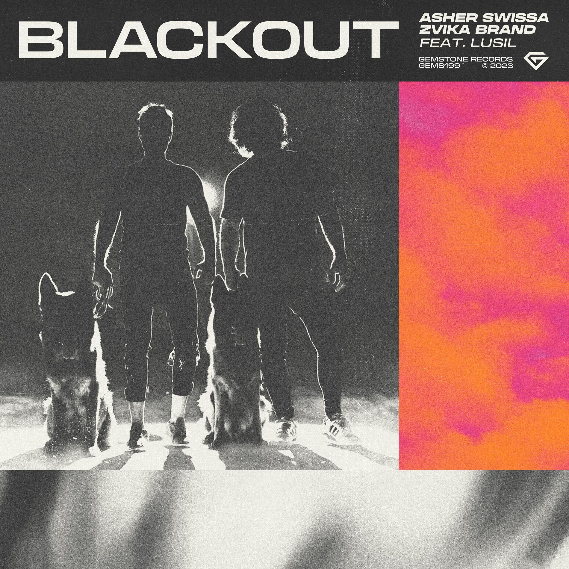 Album cover of BLACKOUT