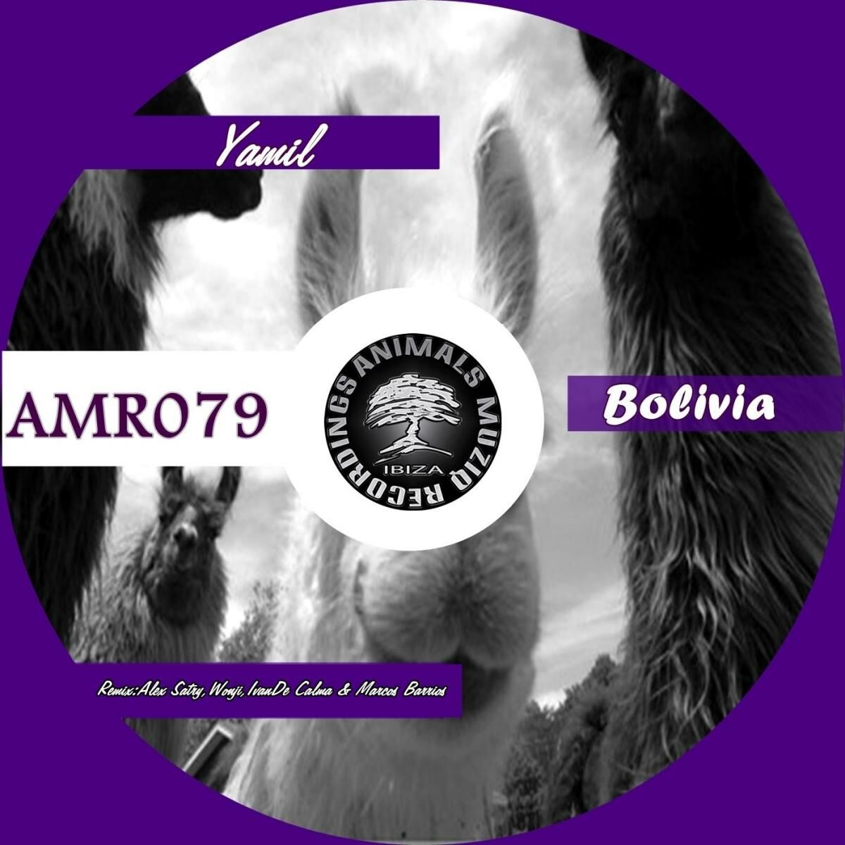 Album cover of Bolivia