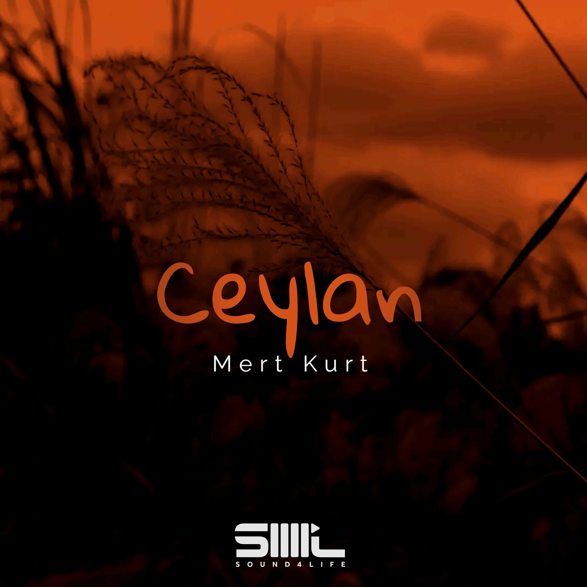Album cover of Ceylan