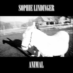 Cover of Animal