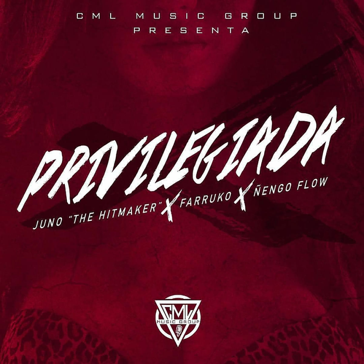 Album cover of Privilegiada