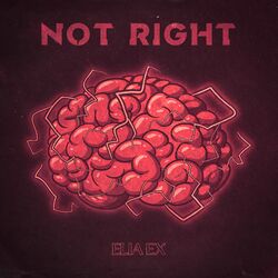 Cover of NOT RIGHT
