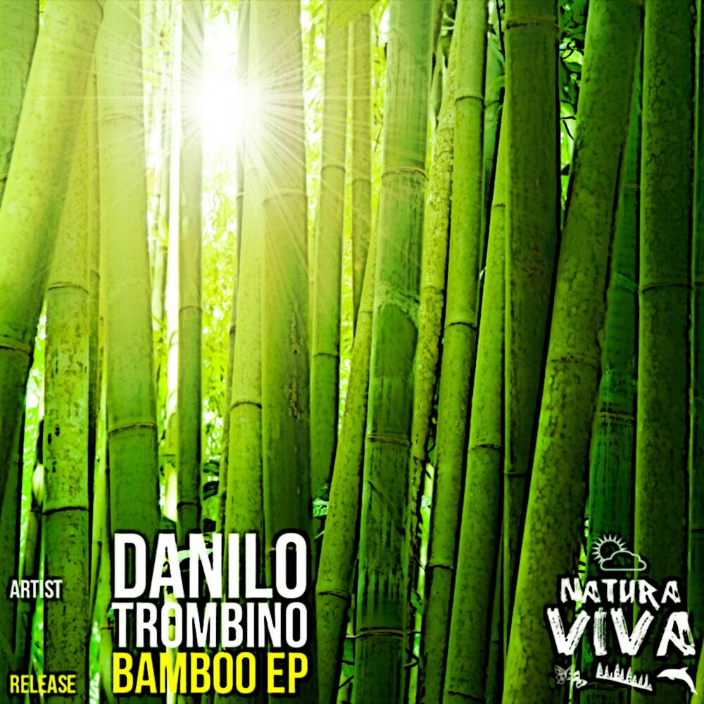Picture of Bamboo