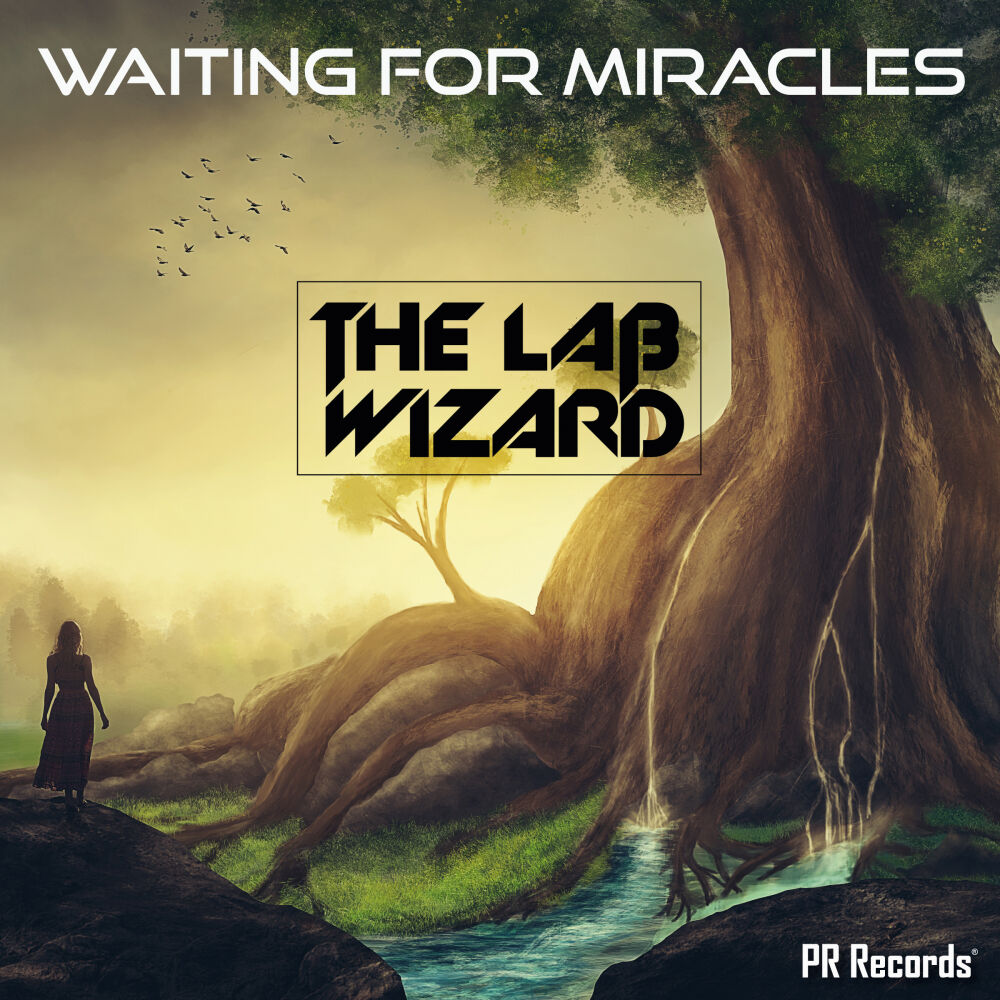 Picture of Waiting for miracles