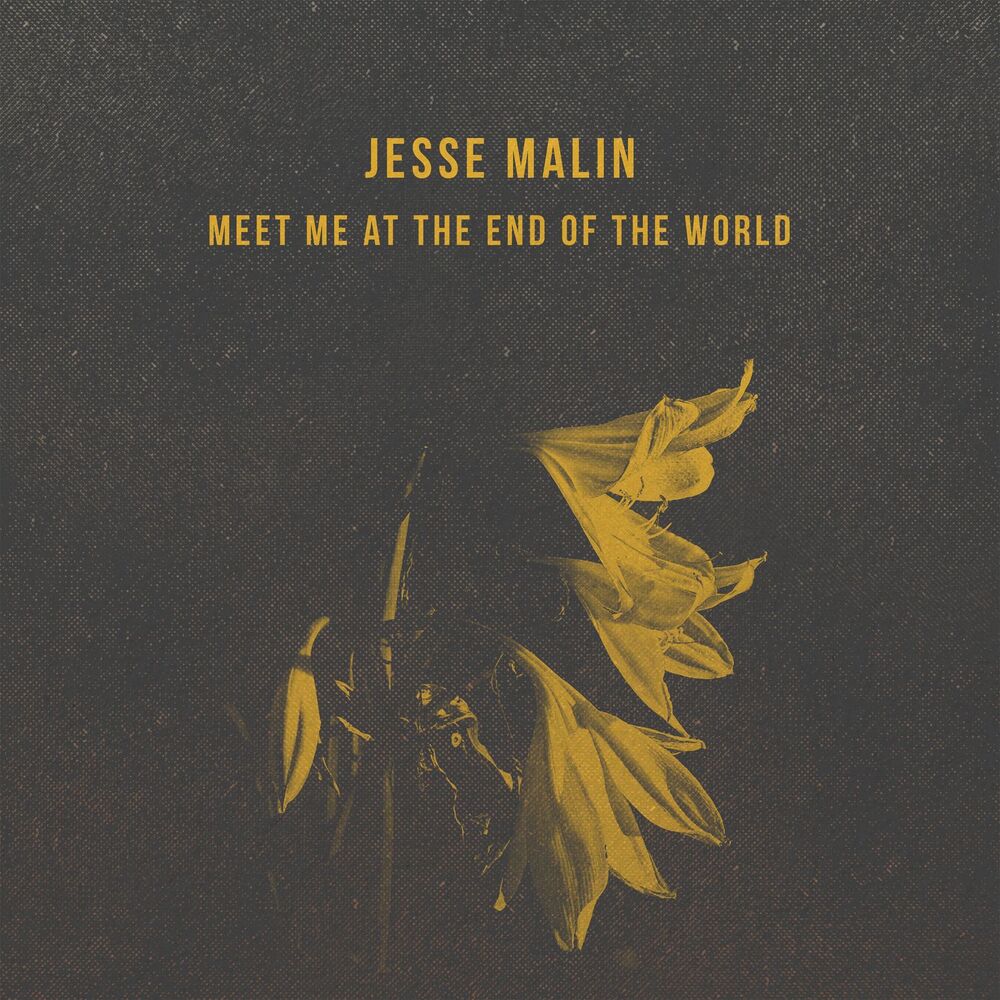 Picture of Meet Me at the End of the World