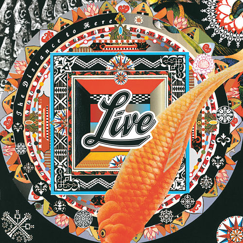 The Dolphin's Cry by Live - 150 BPM & Key N/A