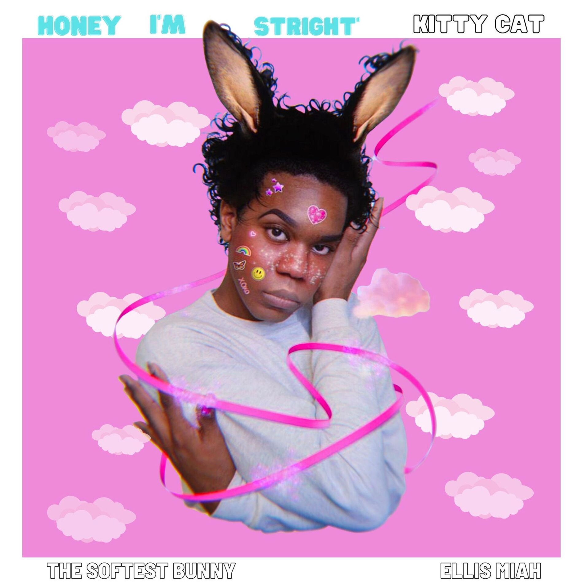 Album cover of Honey I'm Straight (Kitty Cat) (feat. The Softest Bunny)