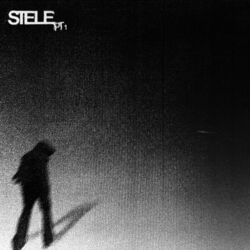 Cover of STELE (1ère Partie)