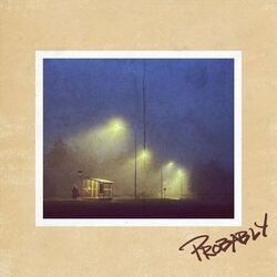 Cover of Probably