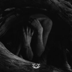 Cover of Cursed to Die