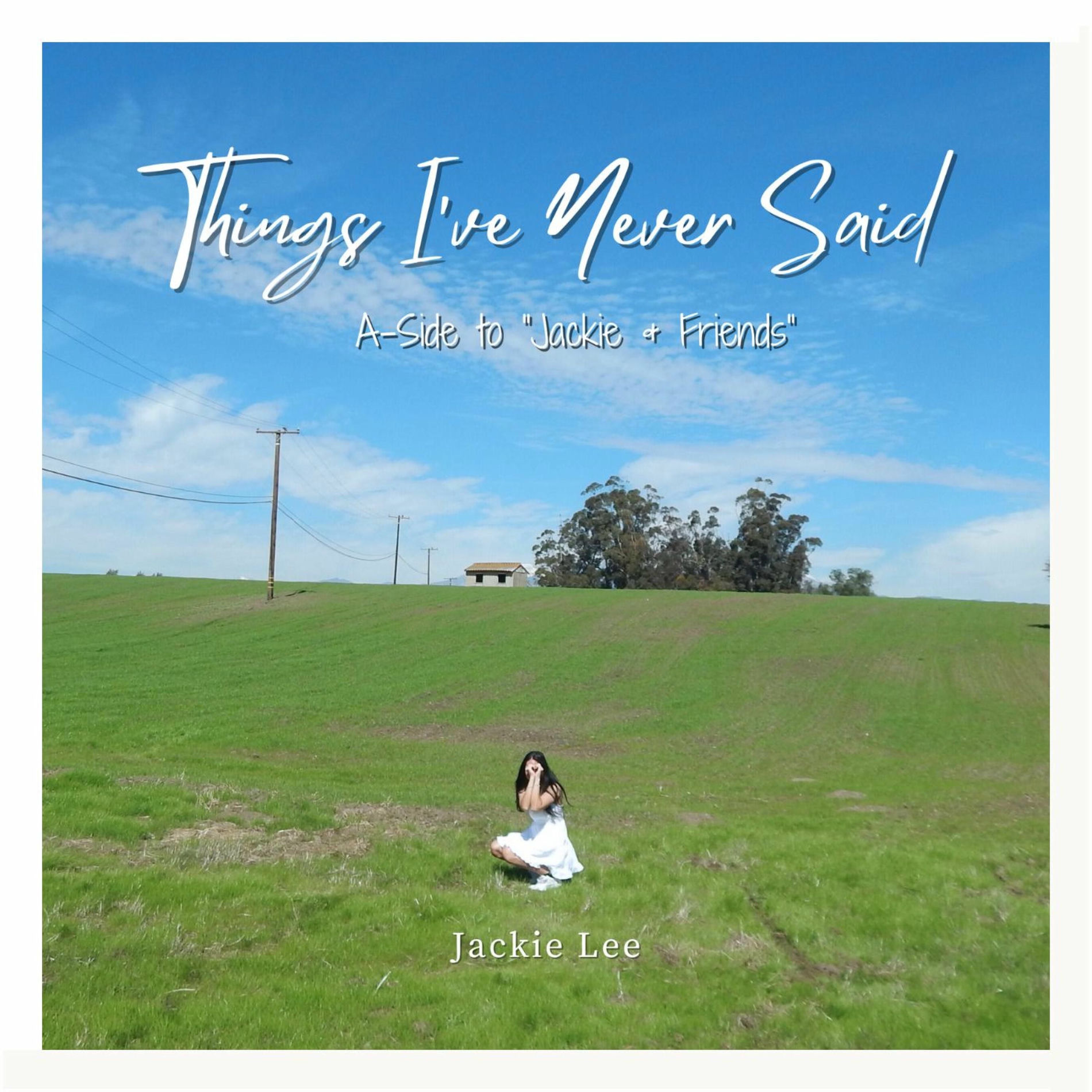 Album cover of Things I've Never Said