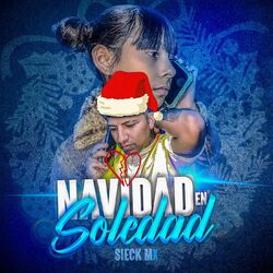 Cover of Navidad En Soledad