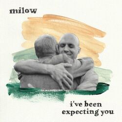 Cover of I've Been Expecting You