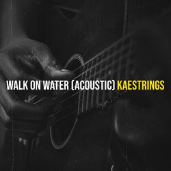 Cover of Walk on Water (Acoustic)