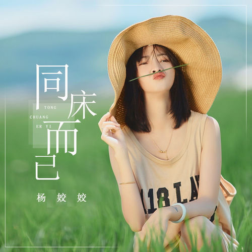同床而已 (DJ默涵版)