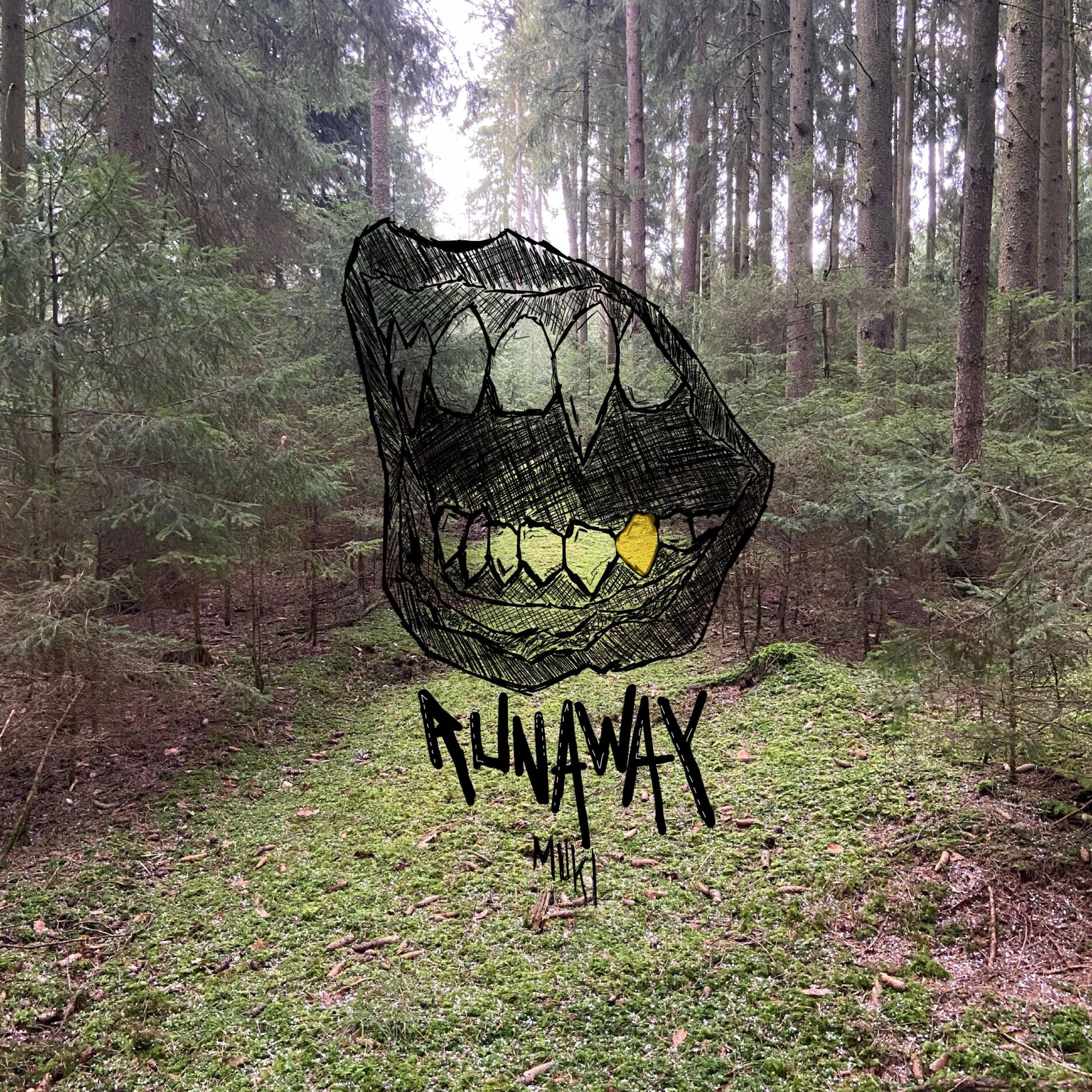 Album cover of Runaway