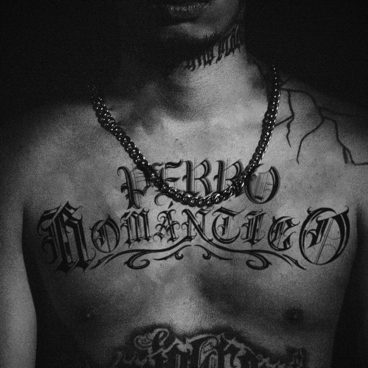 Album cover of Perro Romántico