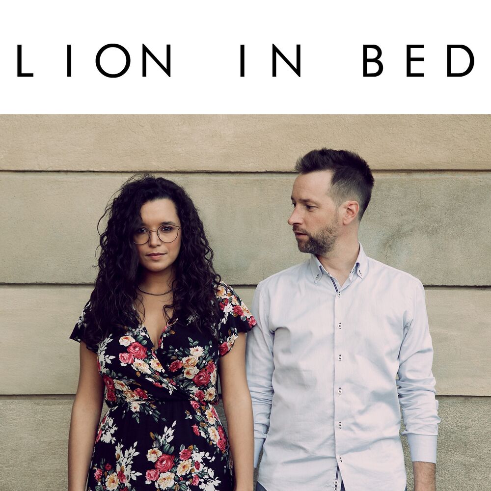 Picture of Lion in bed
