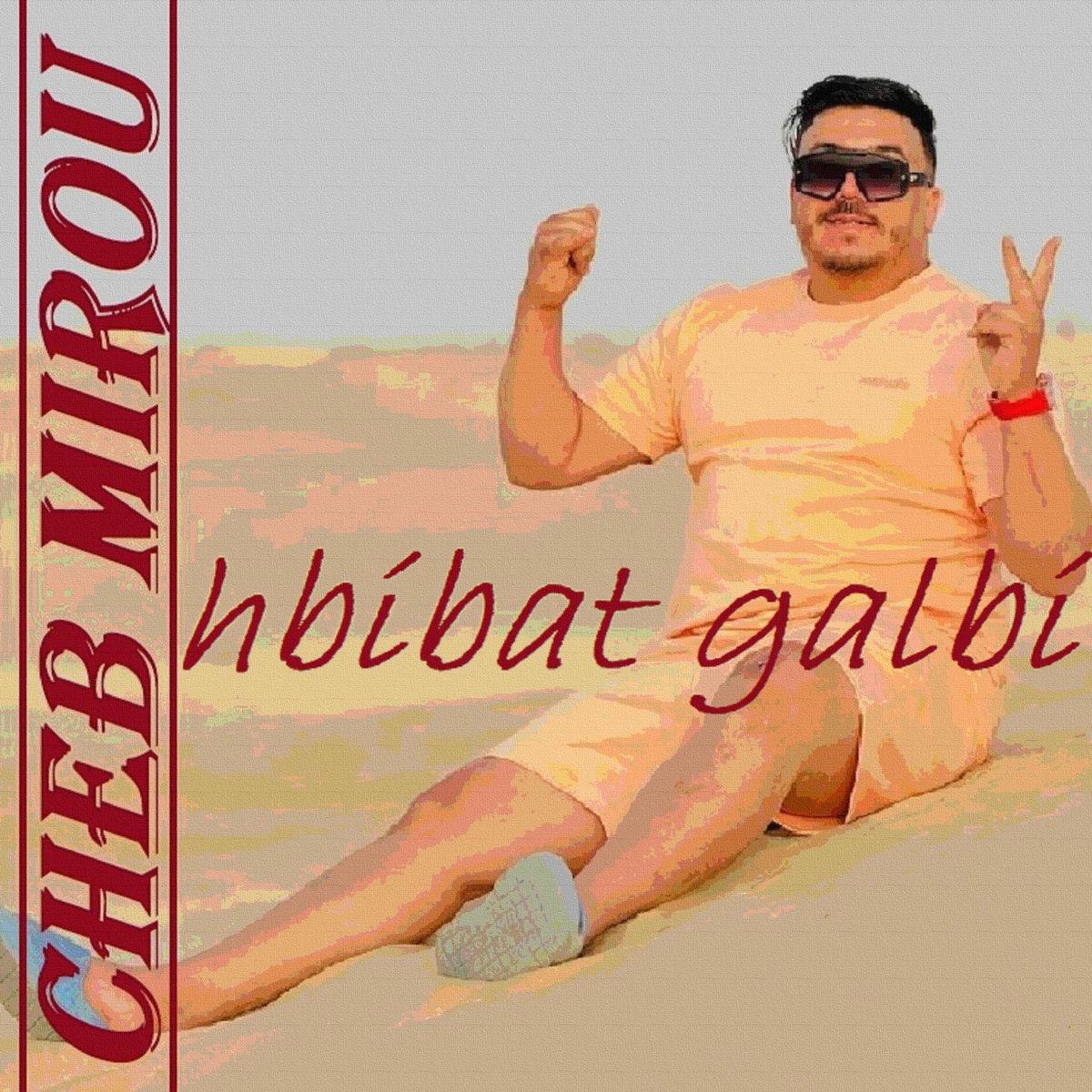Album cover of Hbibat Galbi