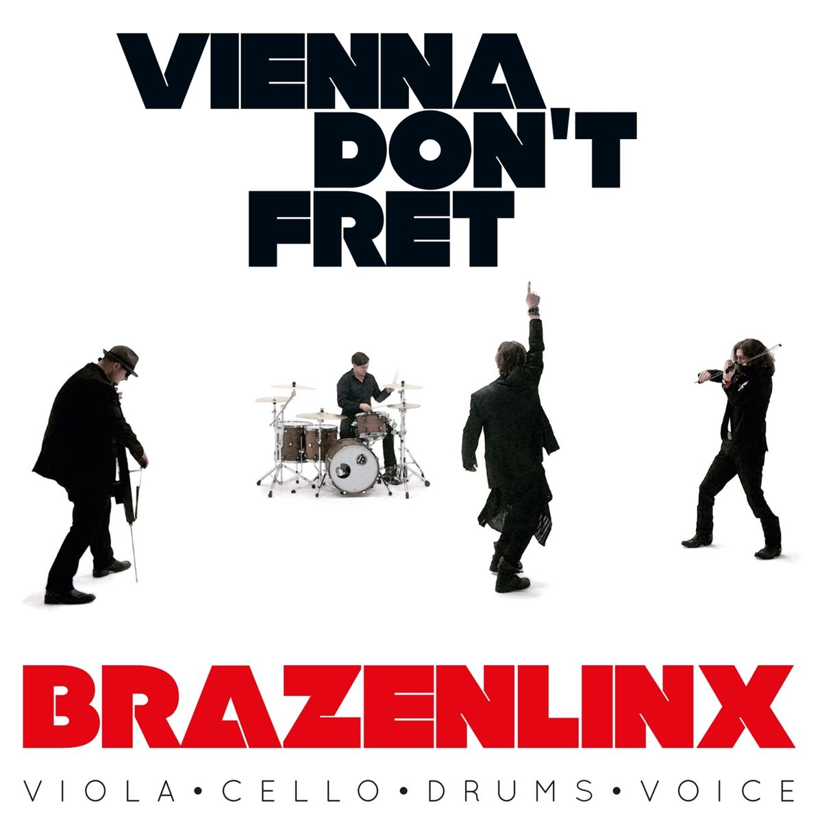 Album cover of Vienna Don't Fret