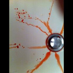 Cover of Show Us the Music