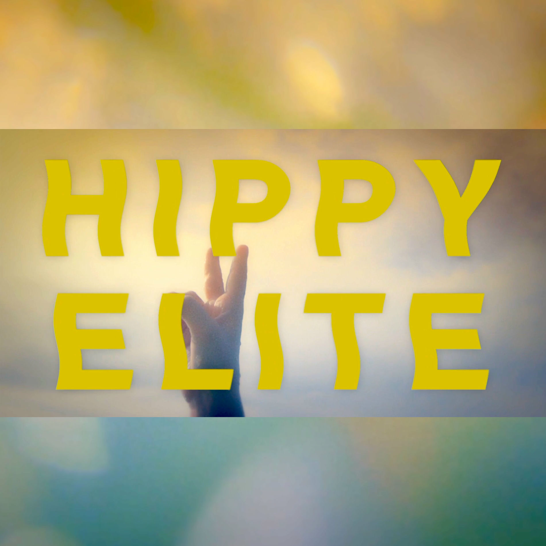 Album cover of Hippy Elite