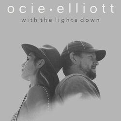Cover of With the Lights Down