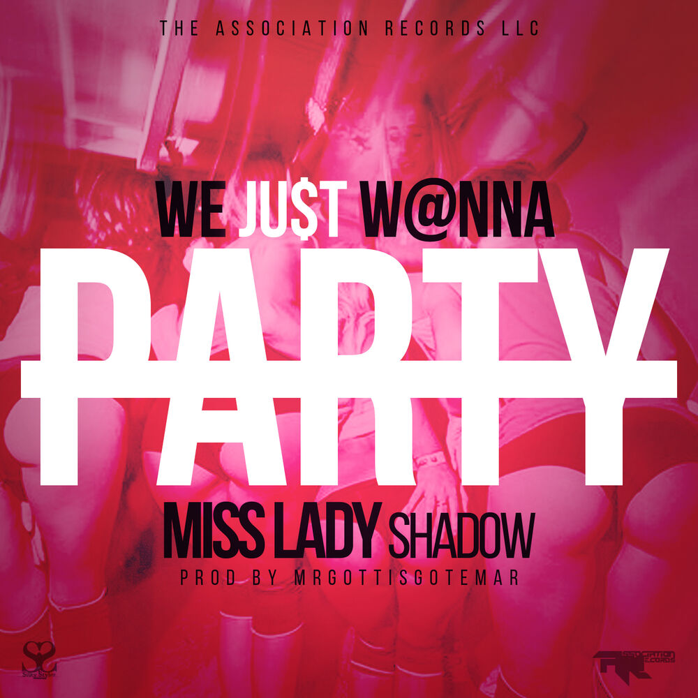 Picture of We Just Wanna Party