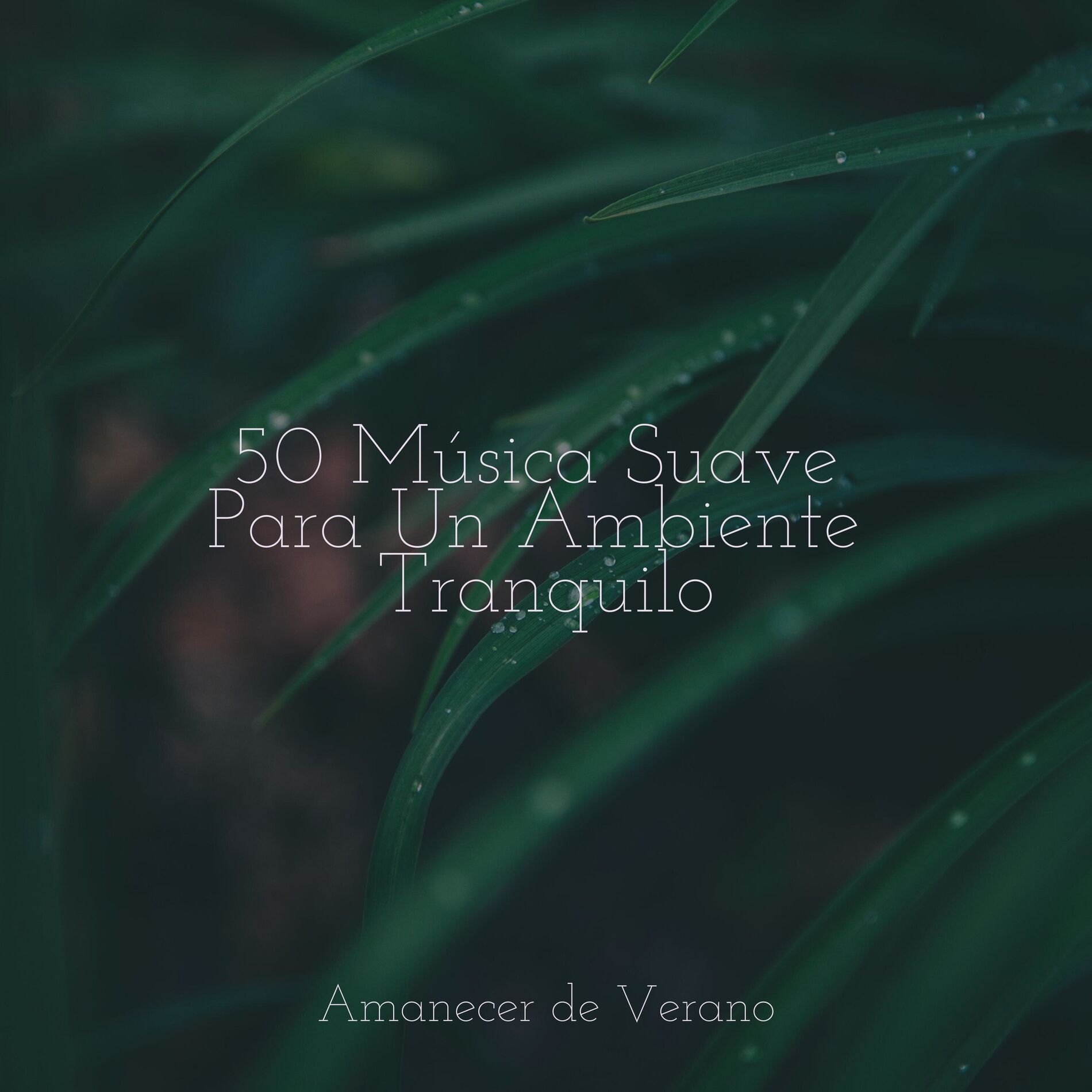 Album cover of 50 Música Suave Para Un Ambiente Tranquilo