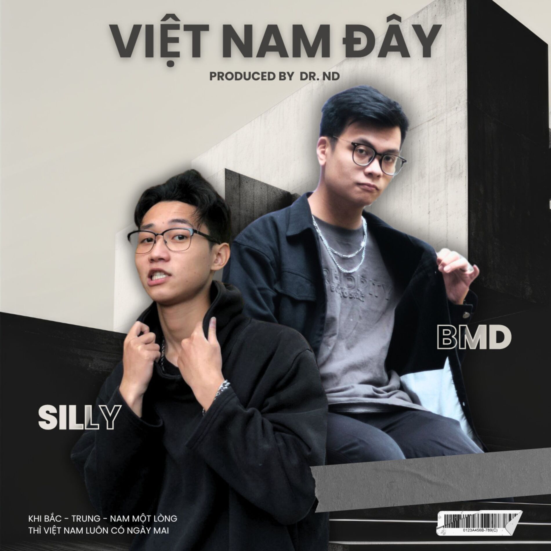 Album cover of Việt Nam Đây