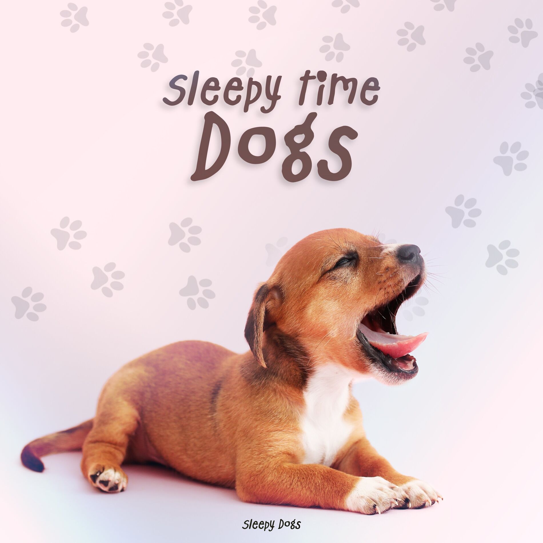 Album cover of Sleepy Time Dogs