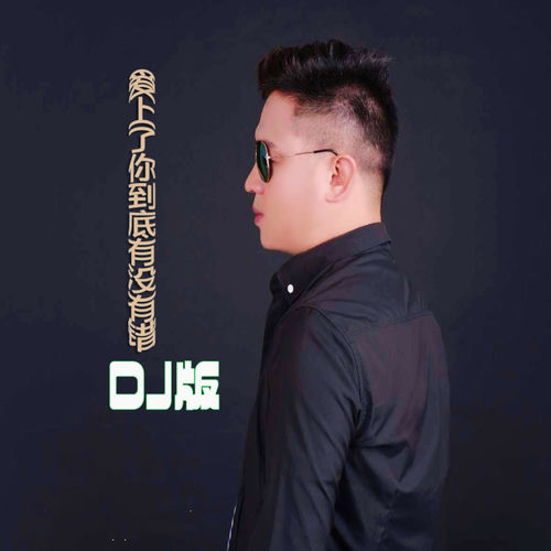 爱上了你到底有没有错 (DJ男版)