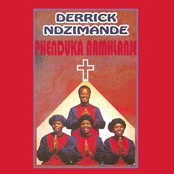 Cover of Phenduka Namhlanje