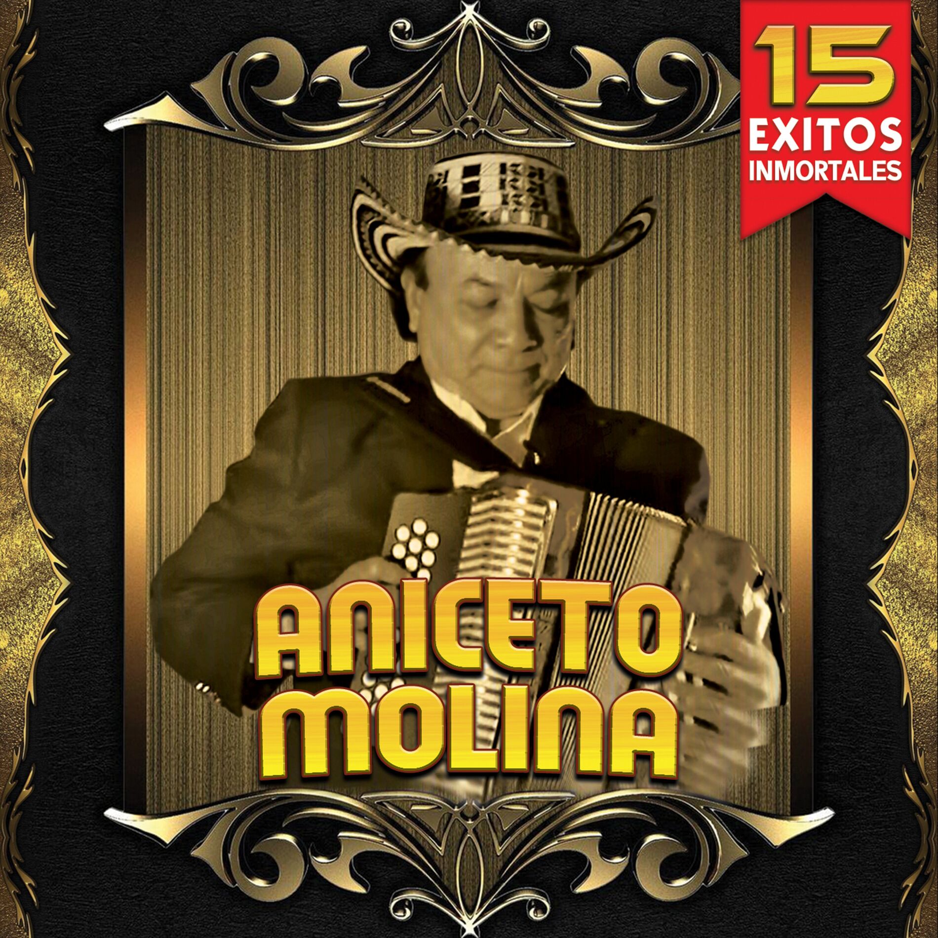 Album cover of 15 Exitos Inmortales